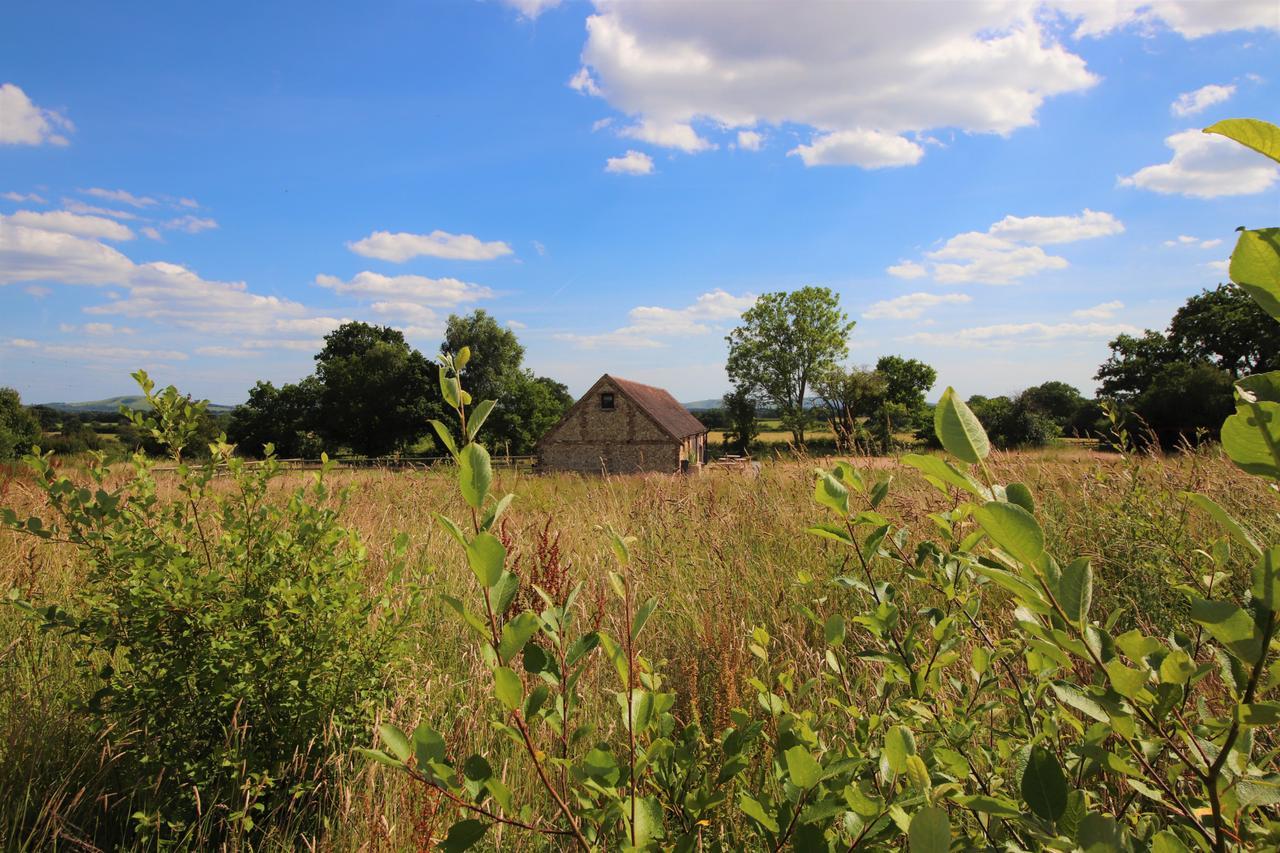 South Cottage - Rural Gem In The Heart Of The Sussex Countryside Twineham Exterior foto